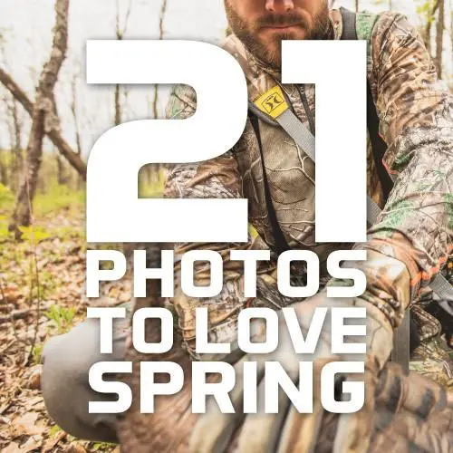 21 Photos To Remind Us Why We Love Spring