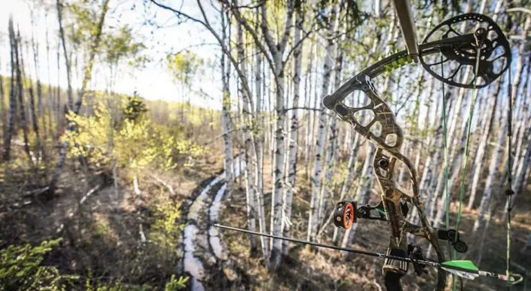 Objectively Looking At Your Tree Stand Locations
