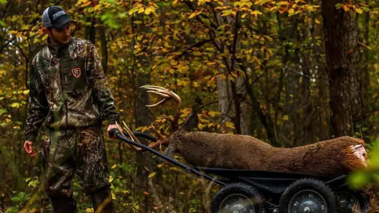 How To Pack Out A Public Land Deer