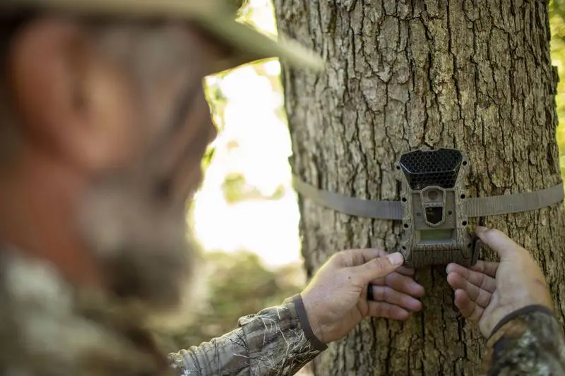 3 Reasons To Keep Game Cameras Going After Season
