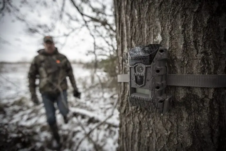 3 Reasons To Keep Game Cameras Going After Season