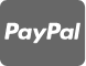 PayPal Icon