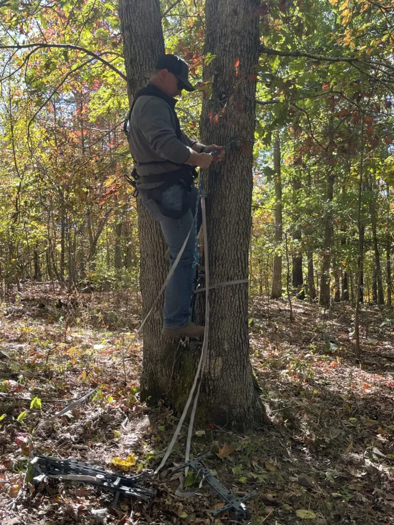 Should You Move Your Treestand During The Rut