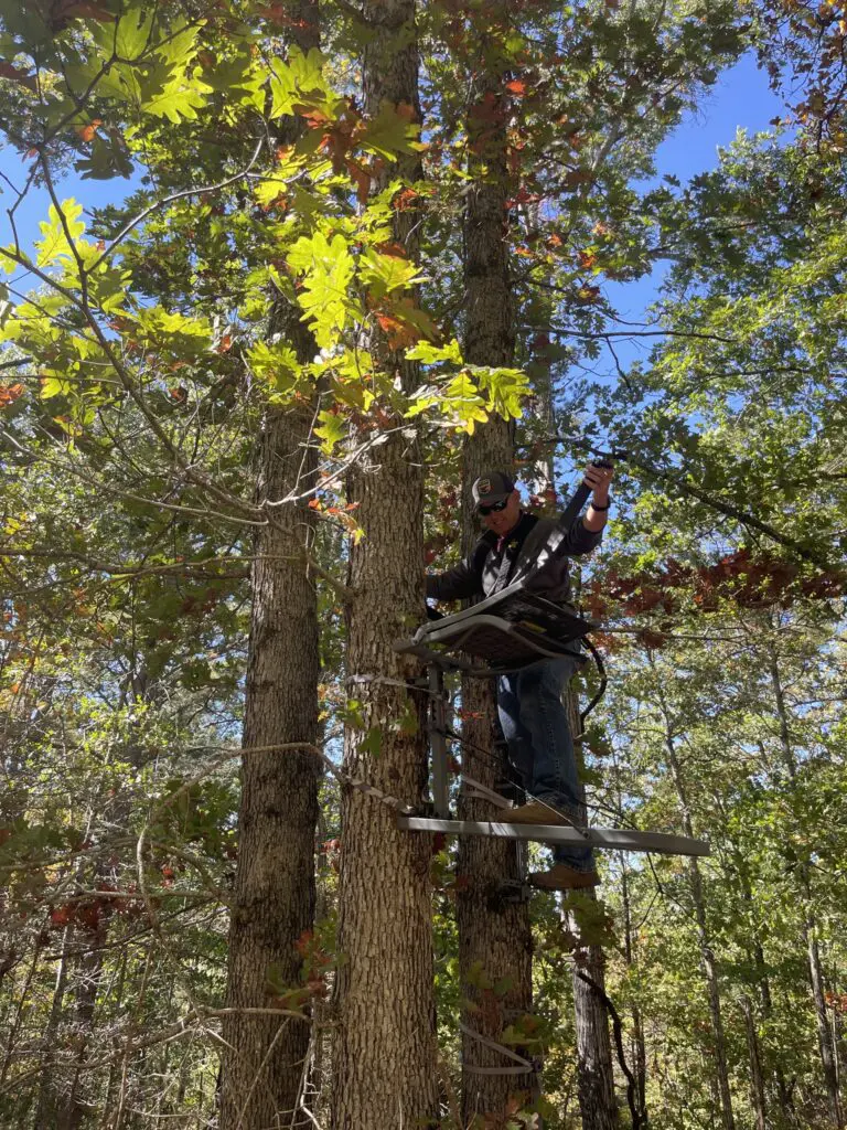 Should You Move Your Treestand During The Rut