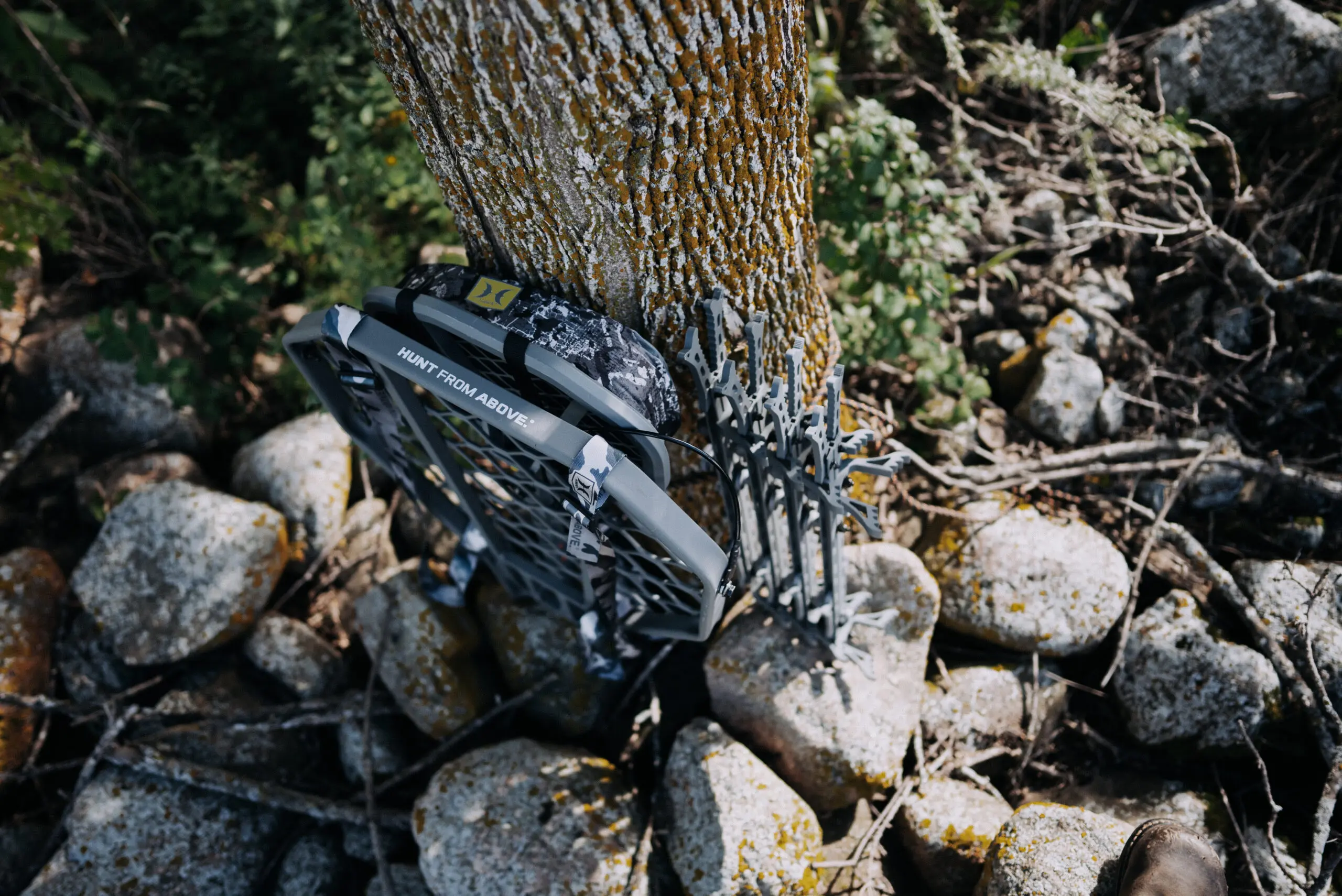Hawk treestand secured to a tree at first light