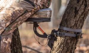 Hawk hunting tree stand seat cushion treestand technology