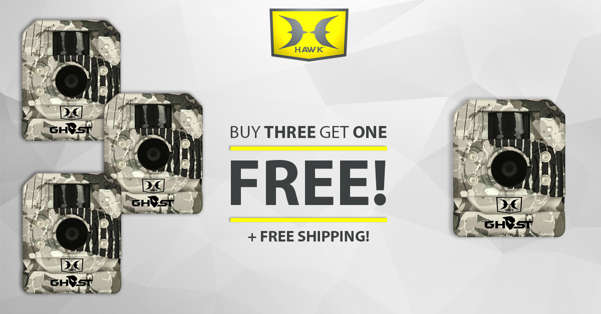 hawk buy 3 get 1