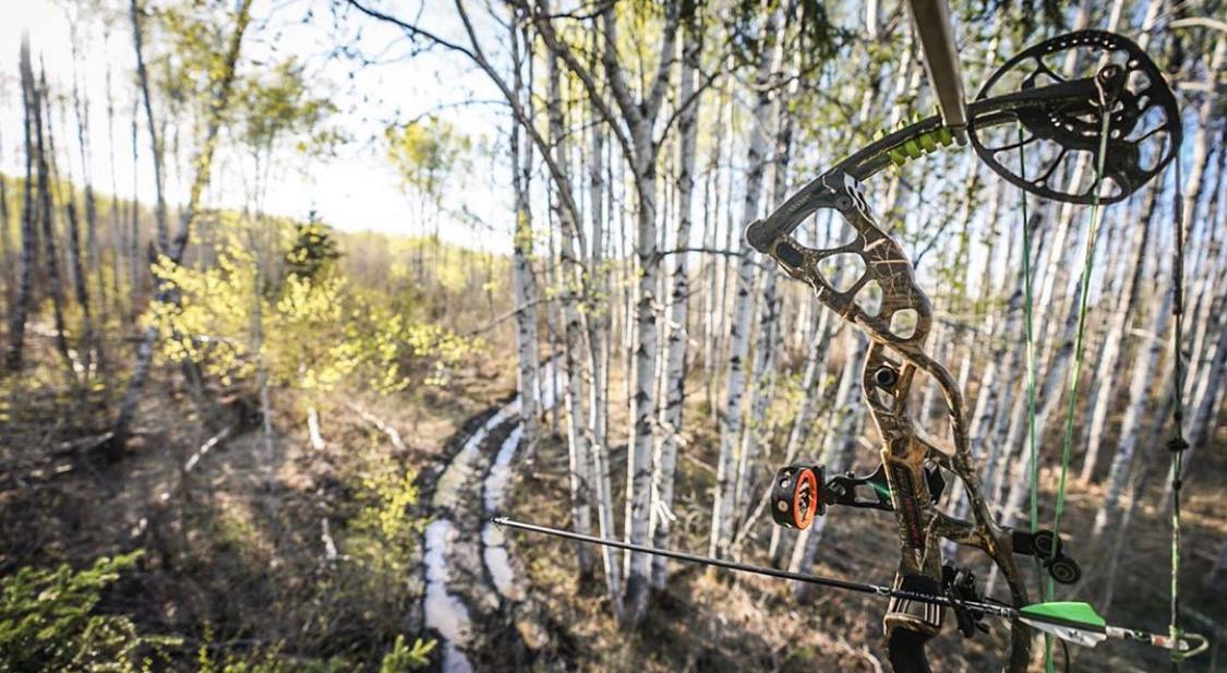objectivelylookingatyourtreestandlocationsfeature Hawk Treestands