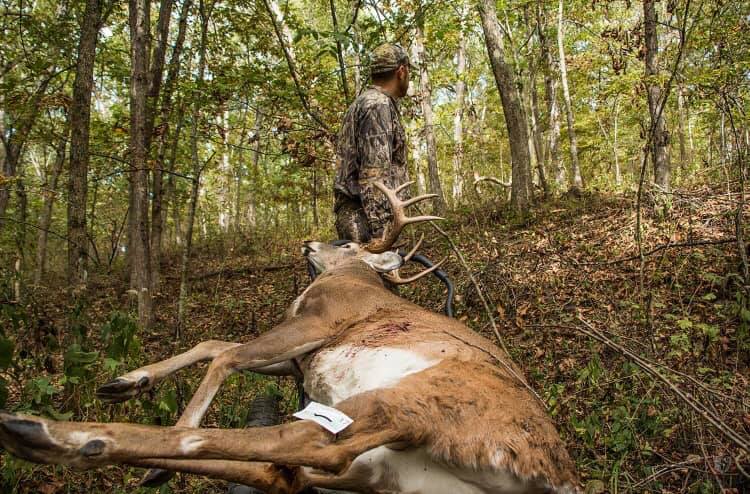 How to Pack Out a Deer 