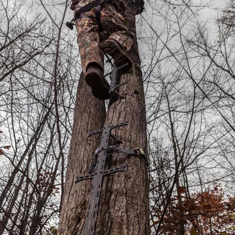 Hawk Treestands Hunt From Above
