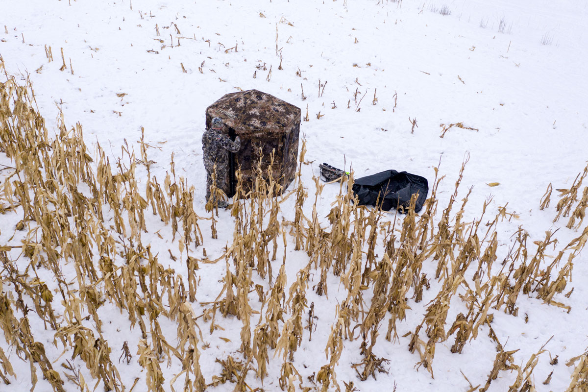 downoutblindshawk Hawk Treestands