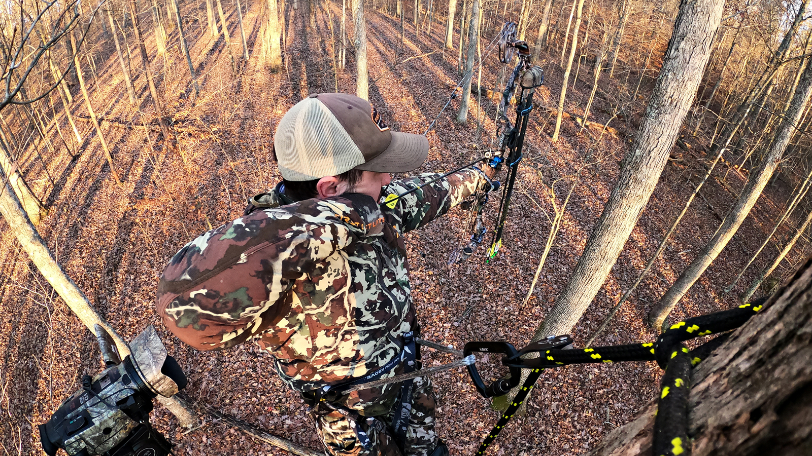 The Right Conditions for a Saddle Hawk Treestands