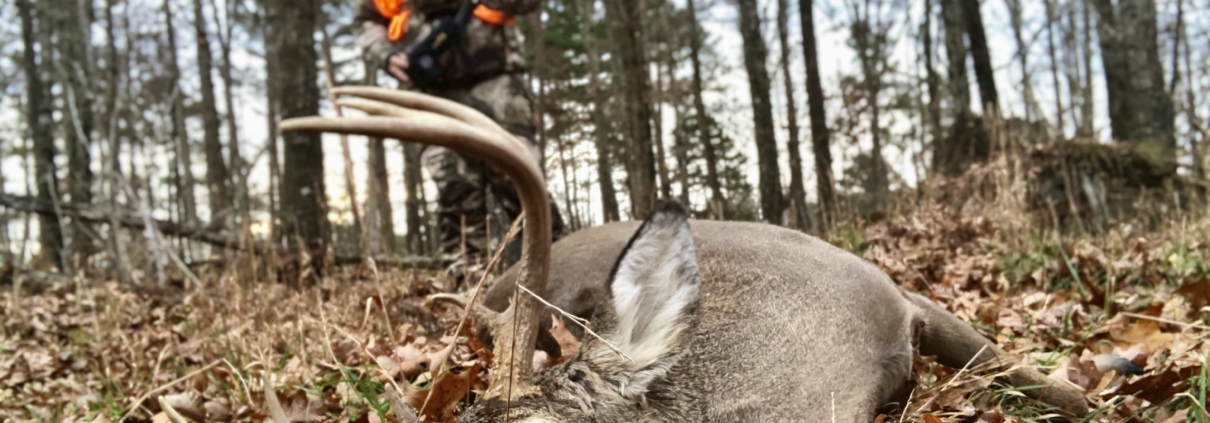 All Day Sits Pay Off During The Rut