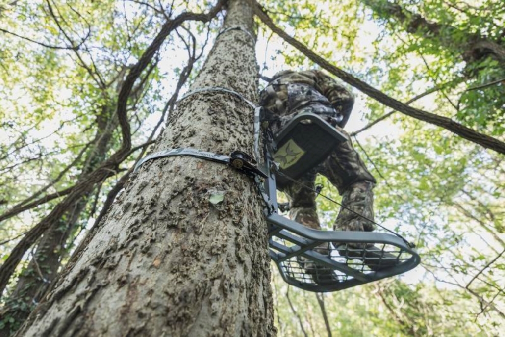 Public Land Bowhunting During The Pre Rut