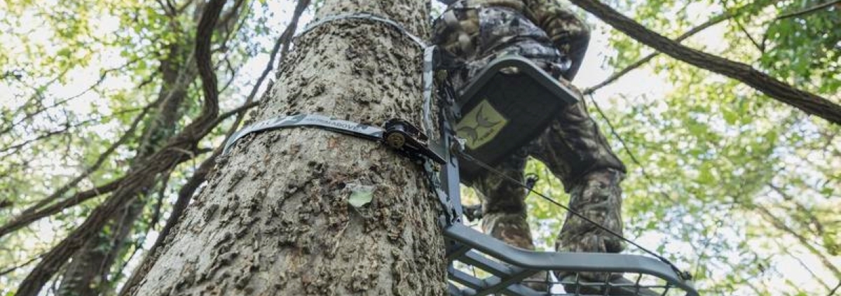 Public Land Bowhunting During The Pre Rut