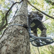 Public Land Bowhunting During The Pre Rut