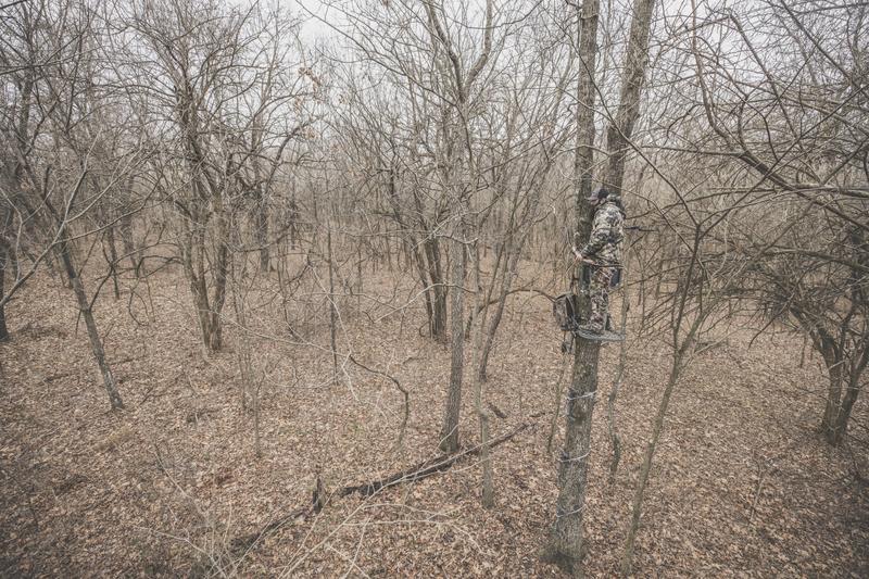 Public Land Bowhunting During The Pre Rut