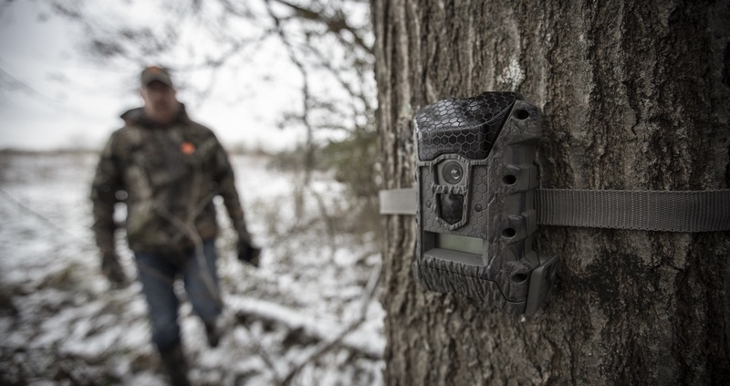3 Reasons To Keep Game Cameras Going After Season