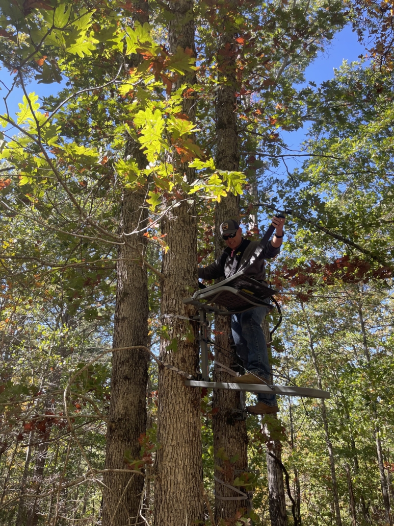 Should You Move Your Treestand During The Rut