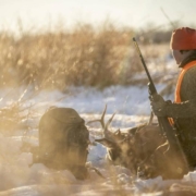 3 Ways To Successfully End Your Deer Season