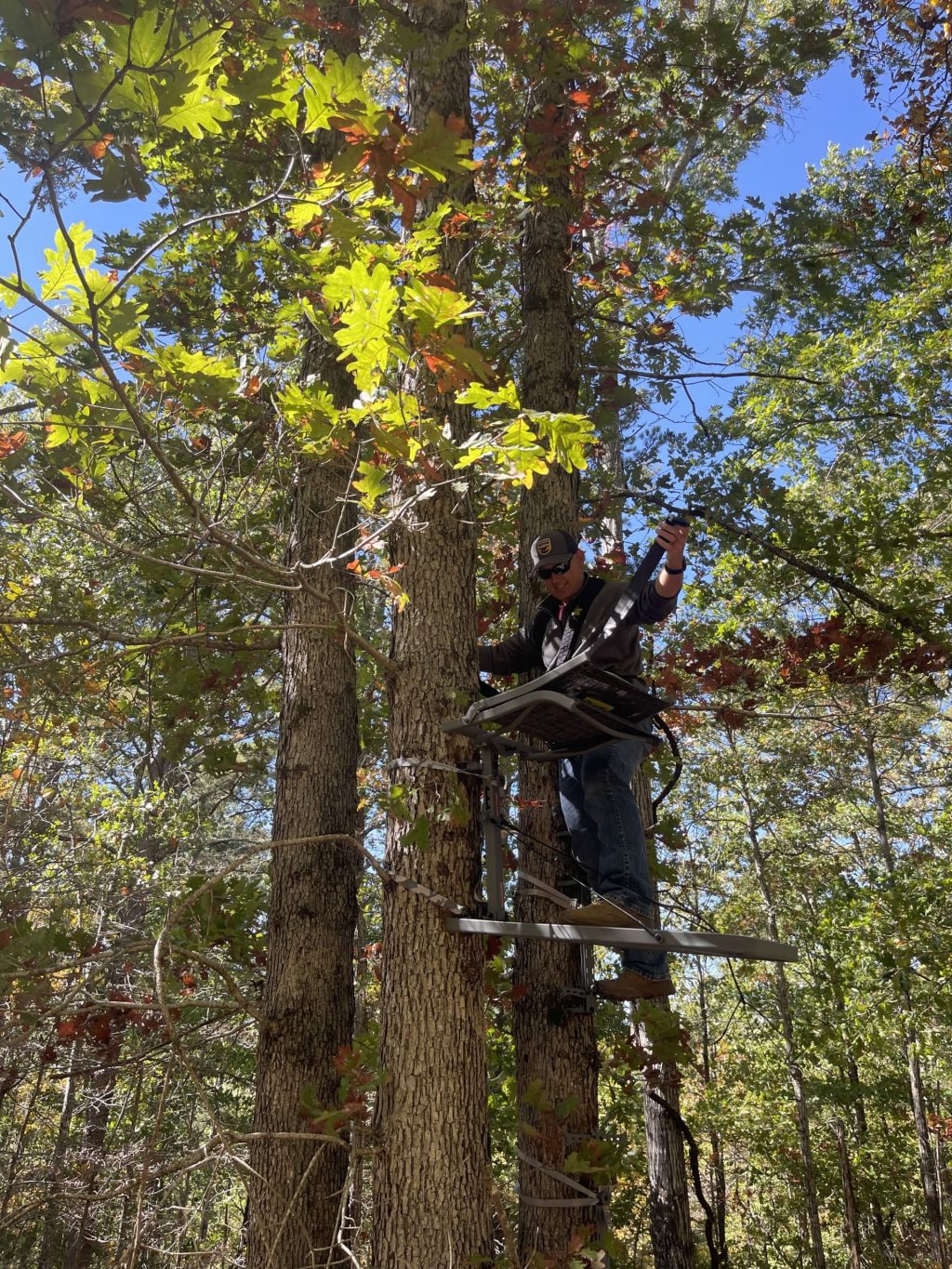 Should You Move Your Treestand During The Rut