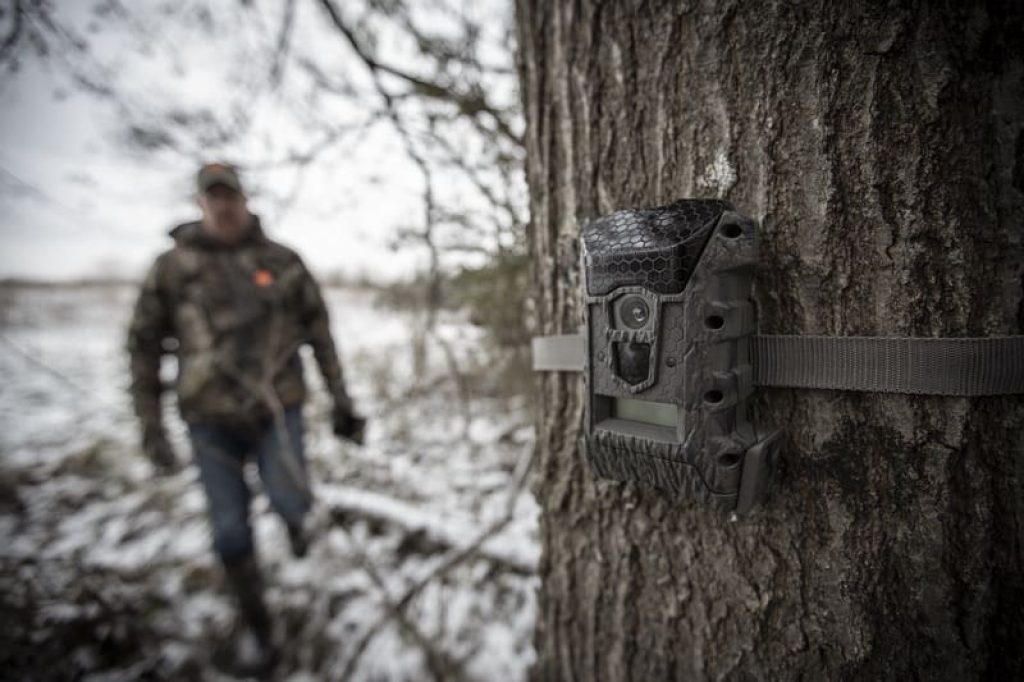 Using Blinds For Late Season Success