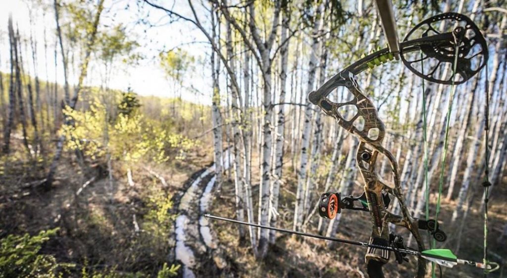 Objectively Looking At Your Tree Stand Locations